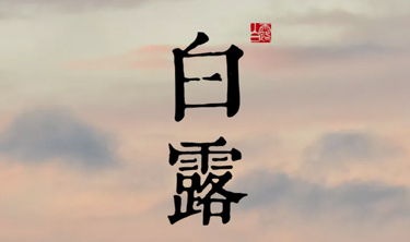 金沙娱场城8303(中国)有限公司官网