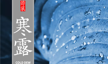 金沙娱场城8303(中国)有限公司官网